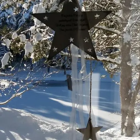 Waldcafe - Das Chalet Am See